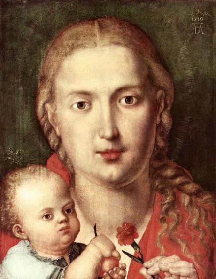 Albrecht Durer The Madonna of the Carnation oil painting image